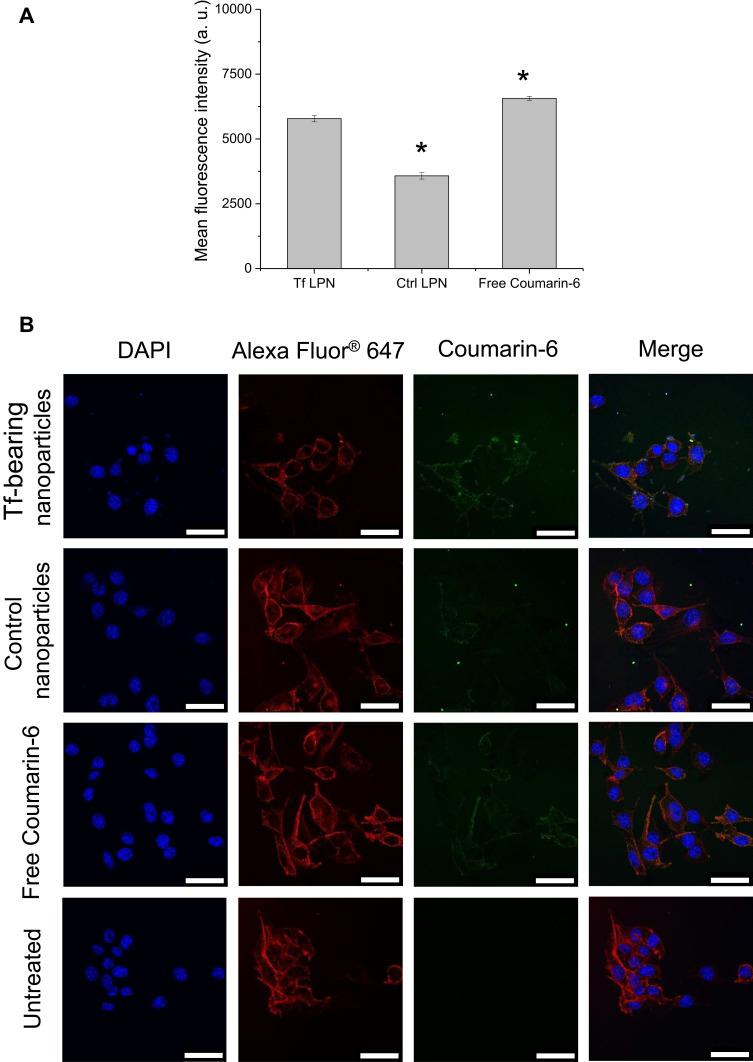 https://cdn.ncbi.nlm.nih.gov/pmc/blobs/3376/8039437/593ff8e0148f/IJN-16-2615-g0005.jpg