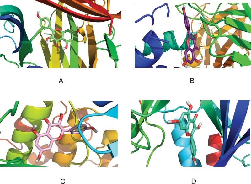 https://cdn.ncbi.nlm.nih.gov/pmc/blobs/3376/9371512/b274c4d491c9/medi-101-e29345-g010.jpg