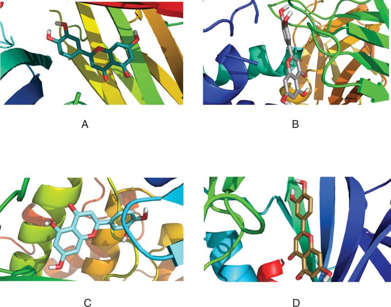 https://cdn.ncbi.nlm.nih.gov/pmc/blobs/3376/9371512/ccc1d833ef39/medi-101-e29345-g009.jpg