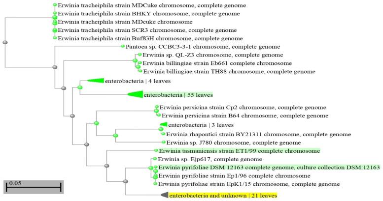 https://cdn.ncbi.nlm.nih.gov/pmc/blobs/3377/10376758/15298e582e9d/antibiotics-12-01114-g001.jpg