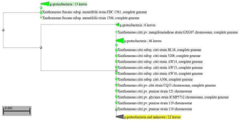 https://cdn.ncbi.nlm.nih.gov/pmc/blobs/3377/10376758/383e98c14673/antibiotics-12-01114-g002.jpg