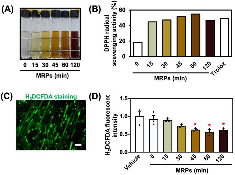 https://cdn.ncbi.nlm.nih.gov/pmc/blobs/3377/12113465/bcb05a150cc6/metabolites-15-00316-g001.jpg
