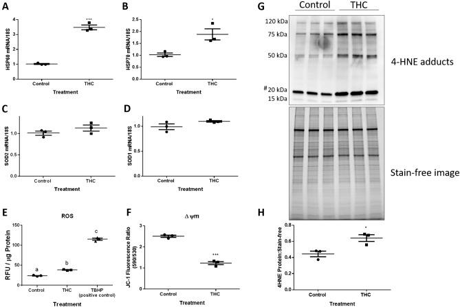 https://cdn.ncbi.nlm.nih.gov/pmc/blobs/3377/7889882/6c1922d68471/41598_2021_83563_Fig6_HTML.jpg