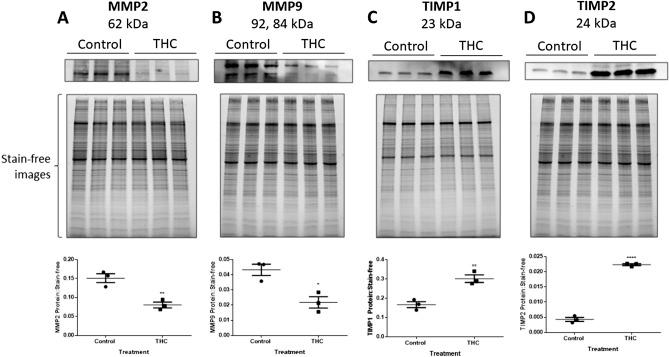 https://cdn.ncbi.nlm.nih.gov/pmc/blobs/3377/7889882/c65804c73561/41598_2021_83563_Fig3_HTML.jpg