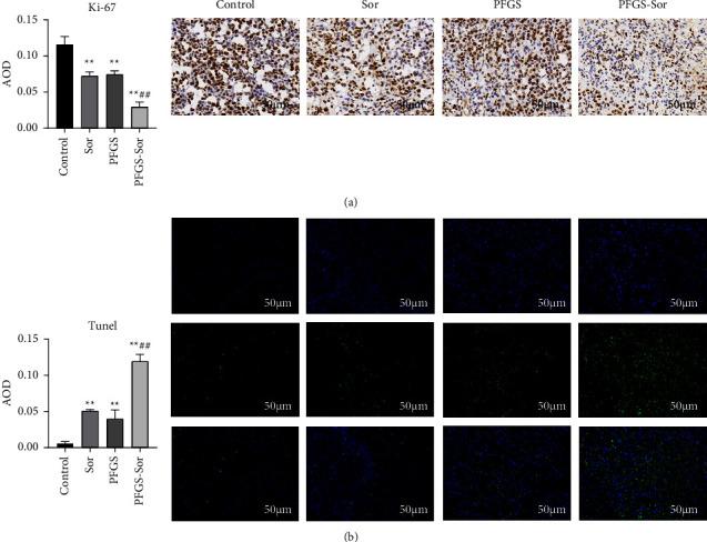 https://cdn.ncbi.nlm.nih.gov/pmc/blobs/3378/9588328/88ccb745f771/ECAM2022-1911311.002.jpg