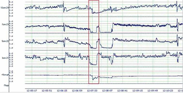 https://cdn.ncbi.nlm.nih.gov/pmc/blobs/3379/7988835/10738fc6a64e/PG-15-42627-g002.jpg