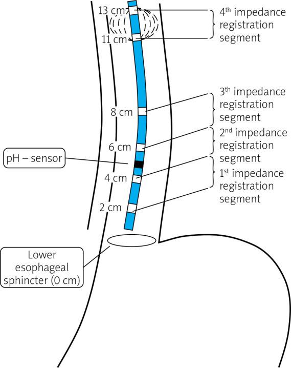 https://cdn.ncbi.nlm.nih.gov/pmc/blobs/3379/7988835/d52a523402df/PG-15-42627-g001.jpg