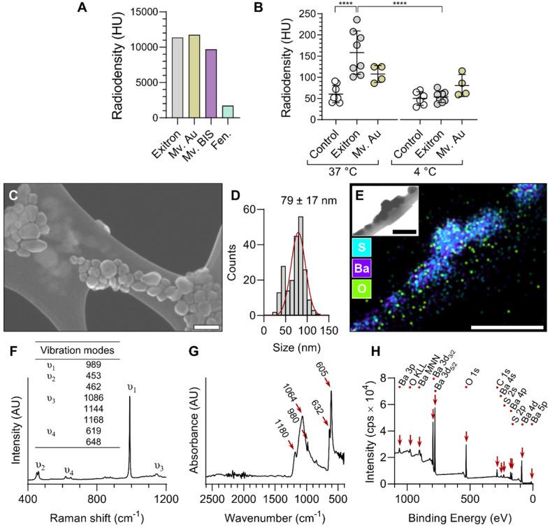 https://cdn.ncbi.nlm.nih.gov/pmc/blobs/337a/8058712/46bf1ffd5245/thnov11p5876g001.jpg