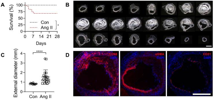 https://cdn.ncbi.nlm.nih.gov/pmc/blobs/337a/8058712/5b805f2f4364/thnov11p5876g003.jpg