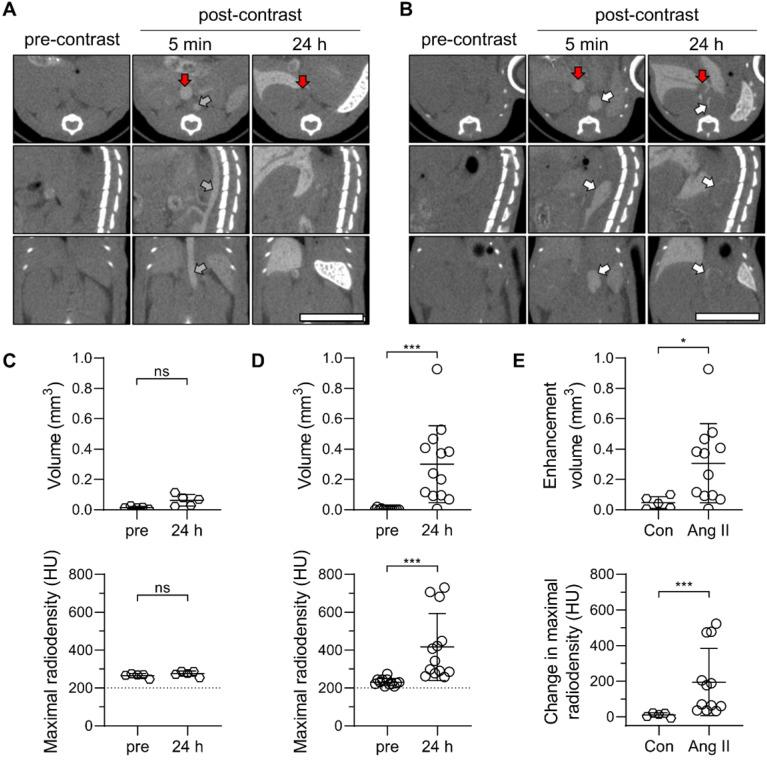 https://cdn.ncbi.nlm.nih.gov/pmc/blobs/337a/8058712/ffcda09631ea/thnov11p5876g004.jpg