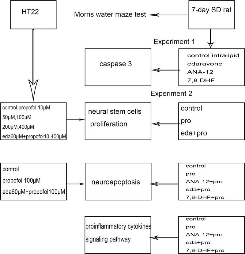 https://cdn.ncbi.nlm.nih.gov/pmc/blobs/337b/8020057/282e03acfd7a/DDDT-15-1409-g0001.jpg