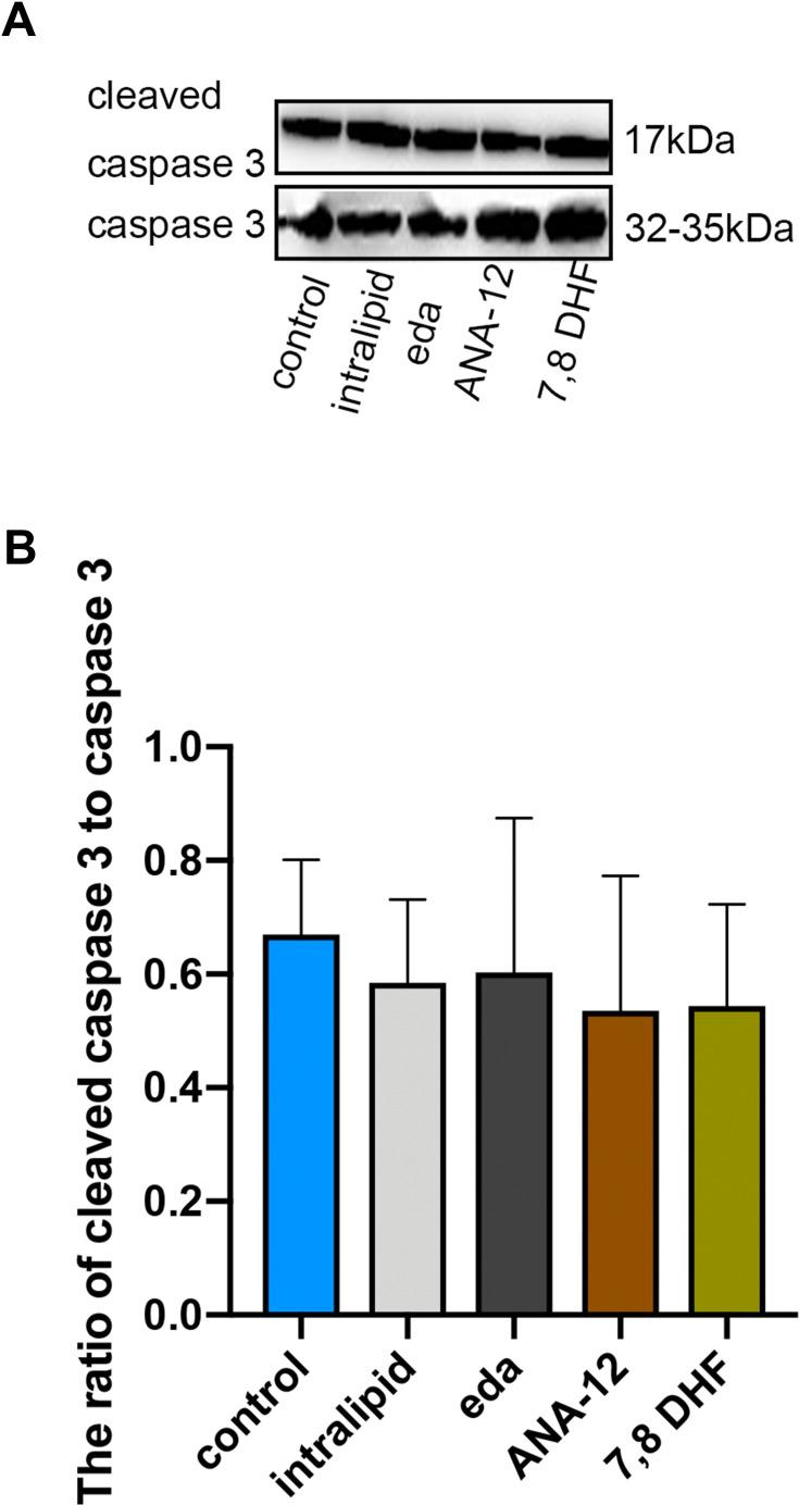 https://cdn.ncbi.nlm.nih.gov/pmc/blobs/337b/8020057/5e8aede46d3d/DDDT-15-1409-g0002.jpg