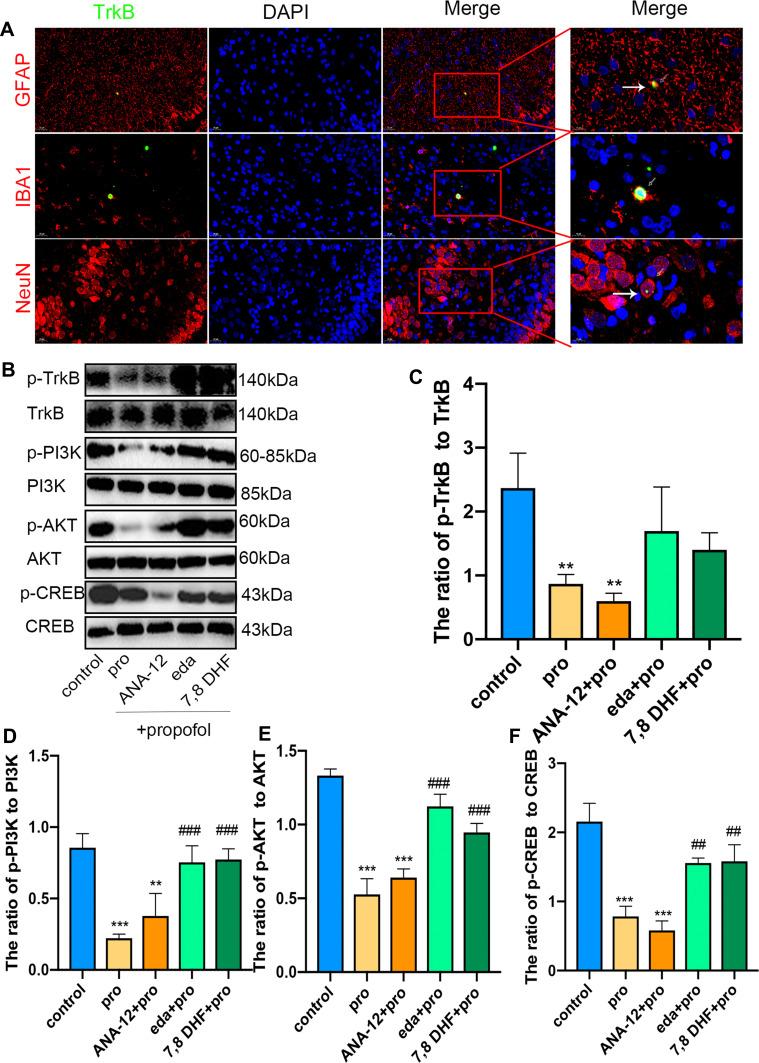 https://cdn.ncbi.nlm.nih.gov/pmc/blobs/337b/8020057/d3c4a3a3f3ba/DDDT-15-1409-g0007.jpg