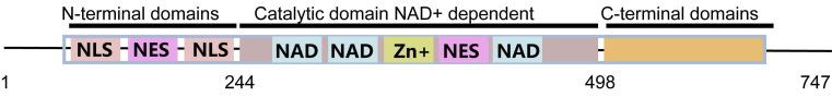 https://cdn.ncbi.nlm.nih.gov/pmc/blobs/337b/9830516/05d2d7d2fe42/ijbsv19p0484g001.jpg