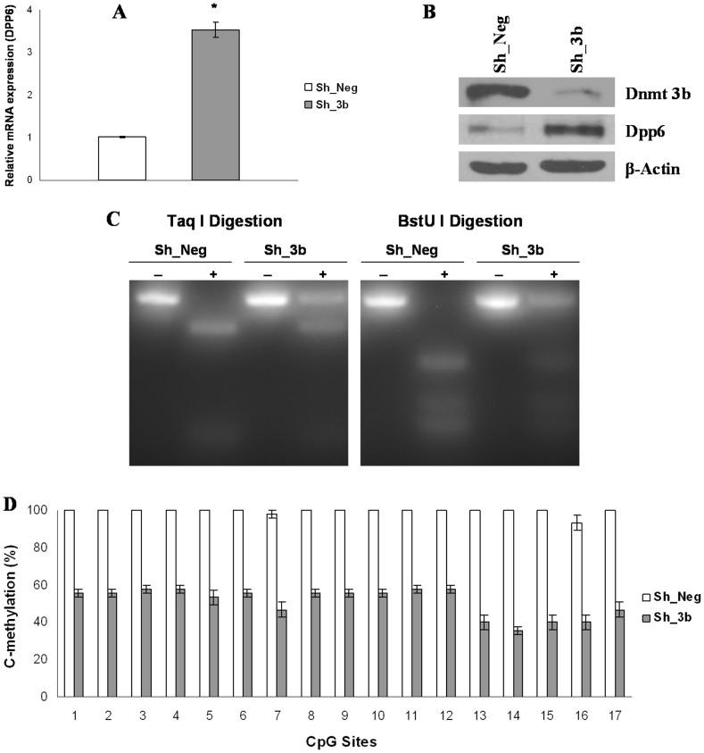https://cdn.ncbi.nlm.nih.gov/pmc/blobs/337c/3567024/12f1e732d452/pone.0055826.g003.jpg