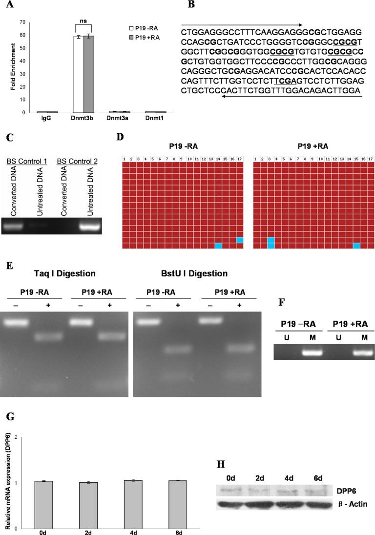 https://cdn.ncbi.nlm.nih.gov/pmc/blobs/337c/3567024/b43669322d04/pone.0055826.g002.jpg
