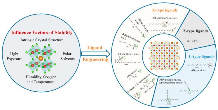 https://cdn.ncbi.nlm.nih.gov/pmc/blobs/337f/11280295/709a66ccbb24/nanomaterials-14-01201-g001.jpg