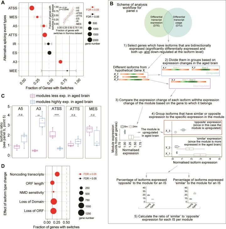 https://cdn.ncbi.nlm.nih.gov/pmc/blobs/3380/11014377/03ace856218b/gkae172fig5.jpg