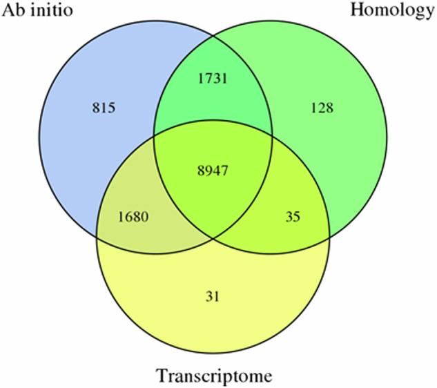 https://cdn.ncbi.nlm.nih.gov/pmc/blobs/3380/12122897/dbb7b675d664/41597_2025_4944_Fig4_HTML.jpg