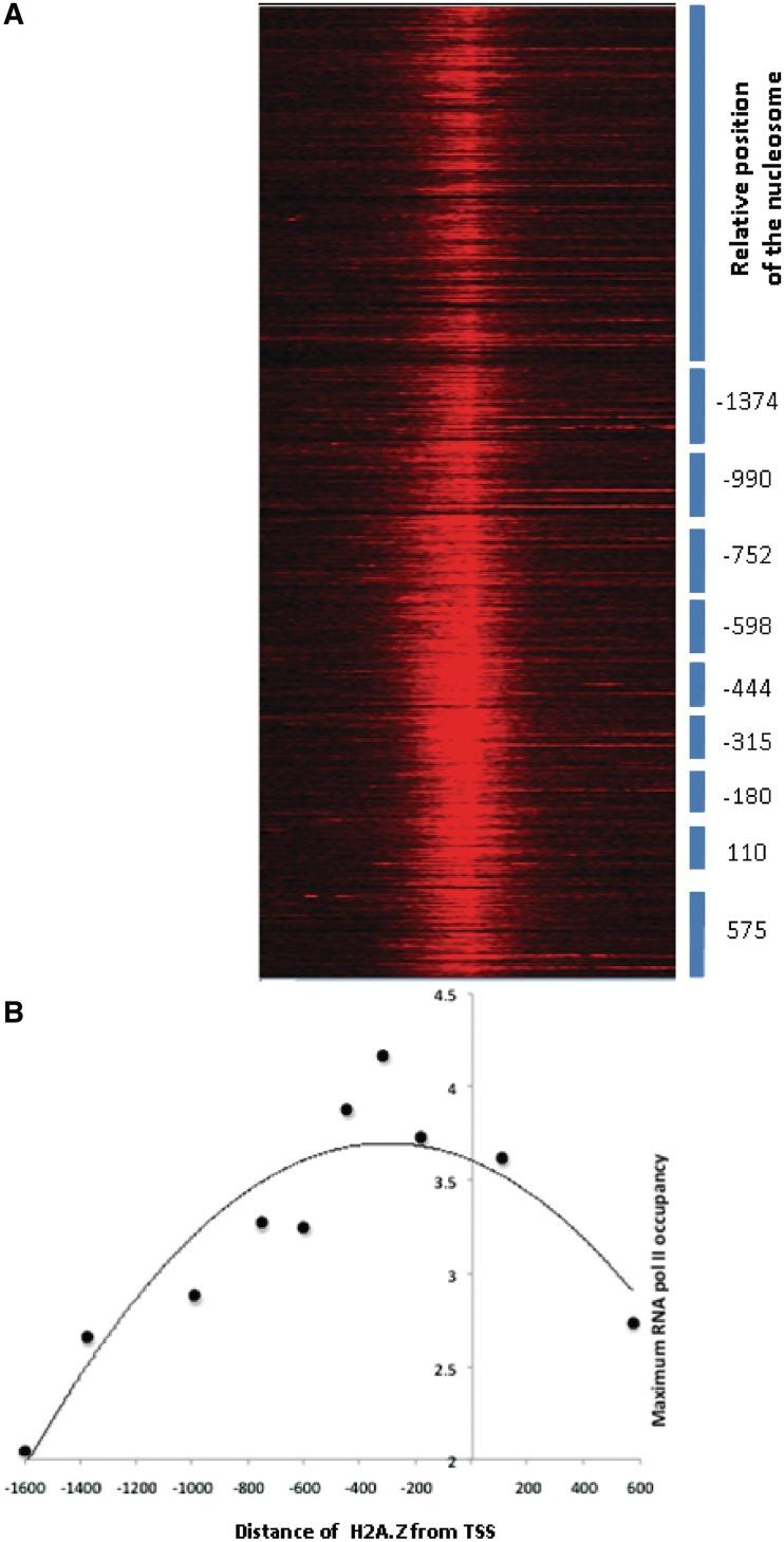https://cdn.ncbi.nlm.nih.gov/pmc/blobs/3380/3467062/acc8321aa0b0/gks665f7.jpg