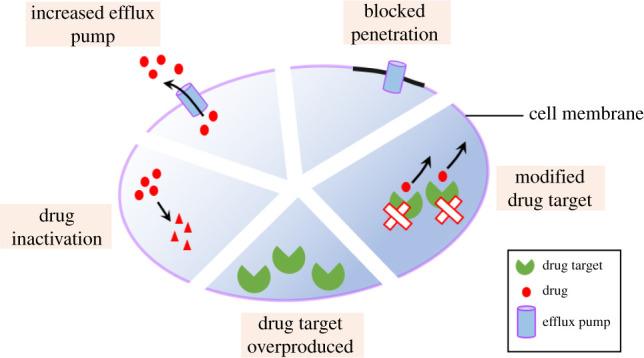 https://cdn.ncbi.nlm.nih.gov/pmc/blobs/3380/9198523/af77b55f55f2/rsos220058f04.jpg