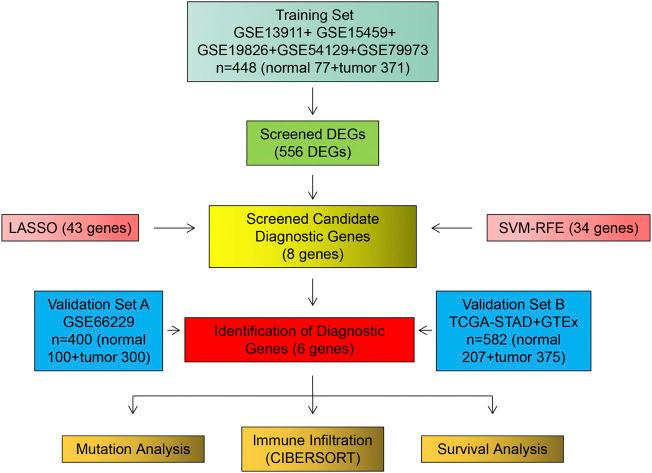 https://cdn.ncbi.nlm.nih.gov/pmc/blobs/3381/9845288/0f13ed812ea4/fgene-13-1067524-g001.jpg