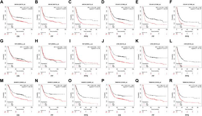 https://cdn.ncbi.nlm.nih.gov/pmc/blobs/3381/9845288/e0a168b66860/fgene-13-1067524-g010.jpg