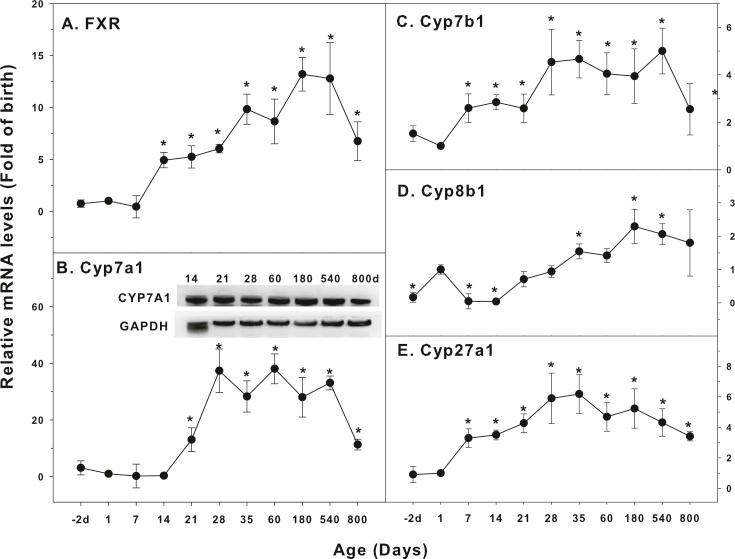https://cdn.ncbi.nlm.nih.gov/pmc/blobs/3382/6681801/375bb5c802e6/peerj-07-7429-g005.jpg