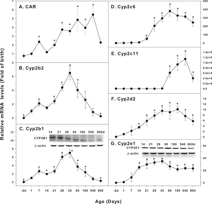 https://cdn.ncbi.nlm.nih.gov/pmc/blobs/3382/6681801/fb9846d65308/peerj-07-7429-g002.jpg
