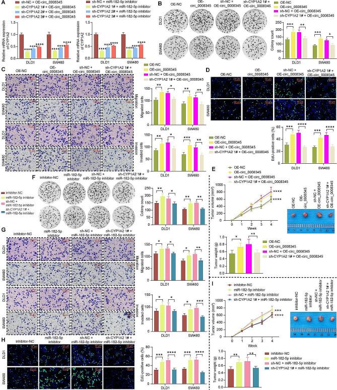 https://cdn.ncbi.nlm.nih.gov/pmc/blobs/3388/11177402/a8fdcf9bfe87/12885_2024_12474_Fig5_HTML.jpg