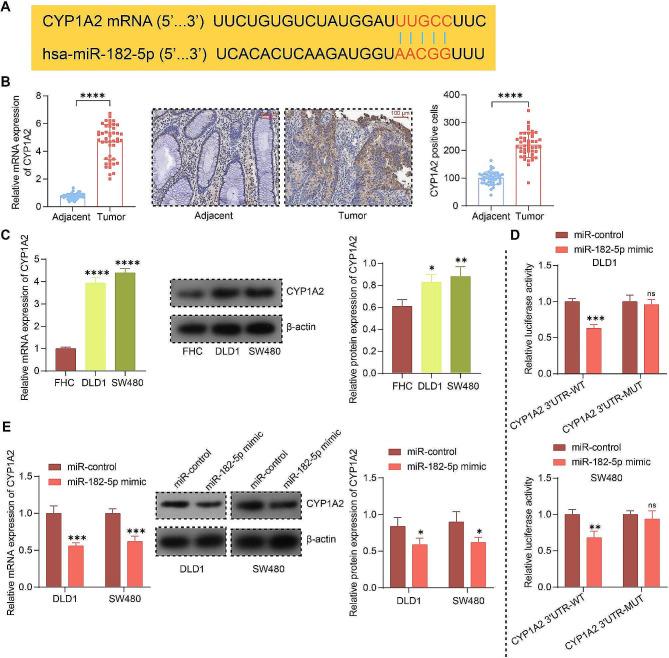 https://cdn.ncbi.nlm.nih.gov/pmc/blobs/3388/11177402/cc30b53f809e/12885_2024_12474_Fig3_HTML.jpg