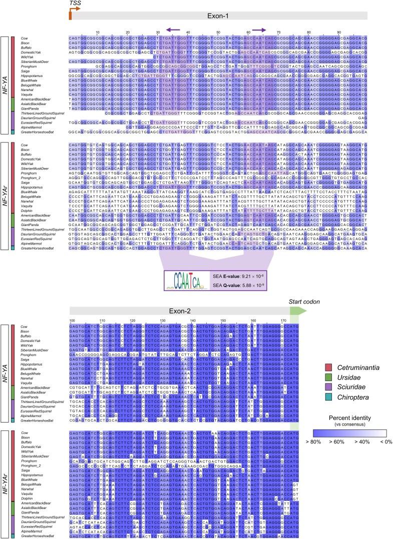 https://cdn.ncbi.nlm.nih.gov/pmc/blobs/3389/12101057/883ae5b318d0/evaf071f7.jpg