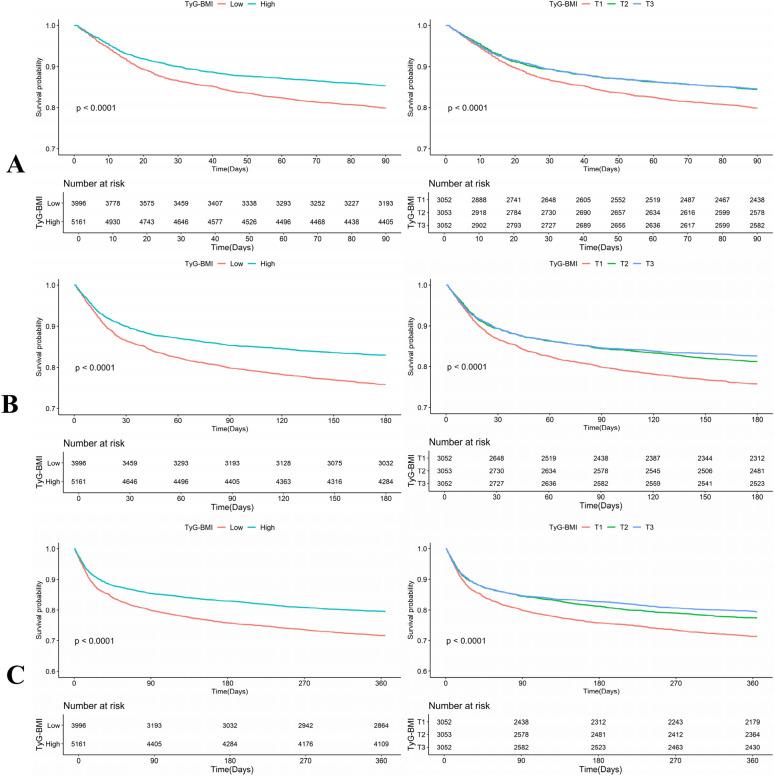 https://cdn.ncbi.nlm.nih.gov/pmc/blobs/338a/12398970/7134125276cf/40001_2025_3128_Fig3_HTML.jpg