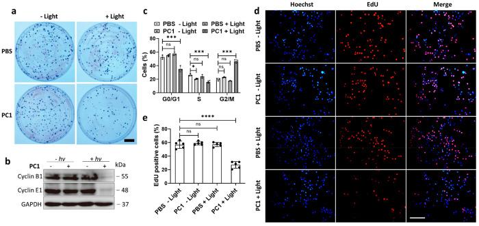 https://cdn.ncbi.nlm.nih.gov/pmc/blobs/338c/8970002/57f88f5141f8/au1c00373_0003.jpg