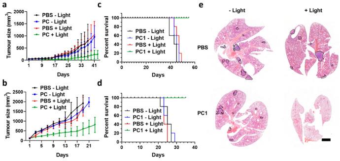https://cdn.ncbi.nlm.nih.gov/pmc/blobs/338c/8970002/9eb5fa10207a/au1c00373_0006.jpg
