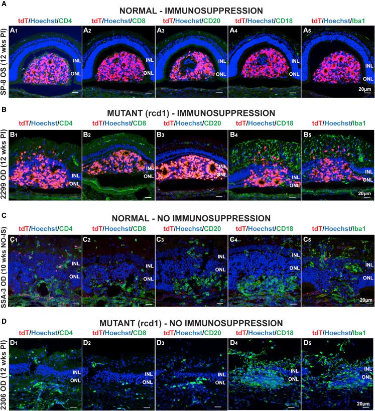 https://cdn.ncbi.nlm.nih.gov/pmc/blobs/338d/9391525/222f5b16cdd6/gr3.jpg