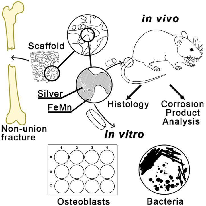 https://cdn.ncbi.nlm.nih.gov/pmc/blobs/338e/10163621/1a1361ef370a/ga1.jpg