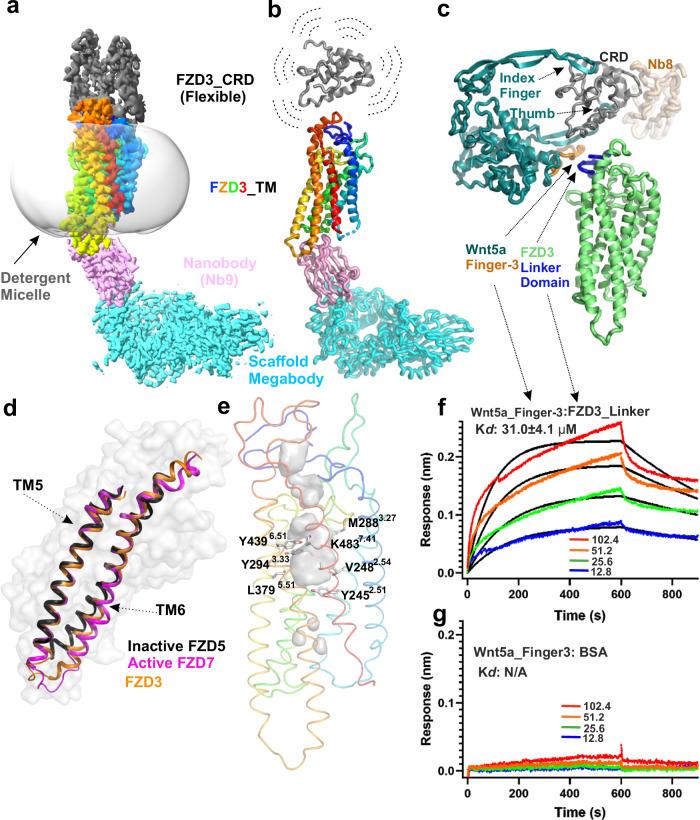 https://cdn.ncbi.nlm.nih.gov/pmc/blobs/338f/11341715/0780a7e0c0e0/41467_2024_51451_Fig3_HTML.jpg