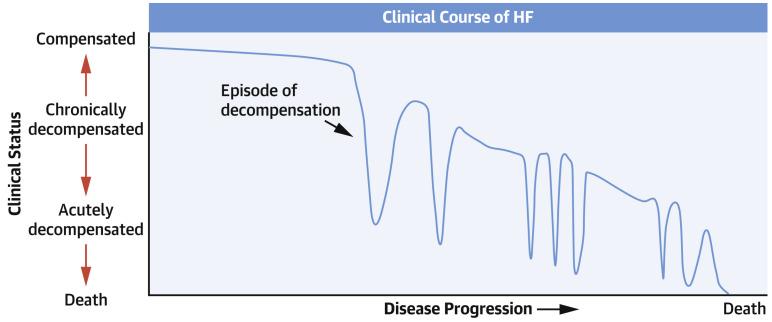 https://cdn.ncbi.nlm.nih.gov/pmc/blobs/3390/10888082/b5403a41d9e7/diagnostics-14-00443-g003.jpg