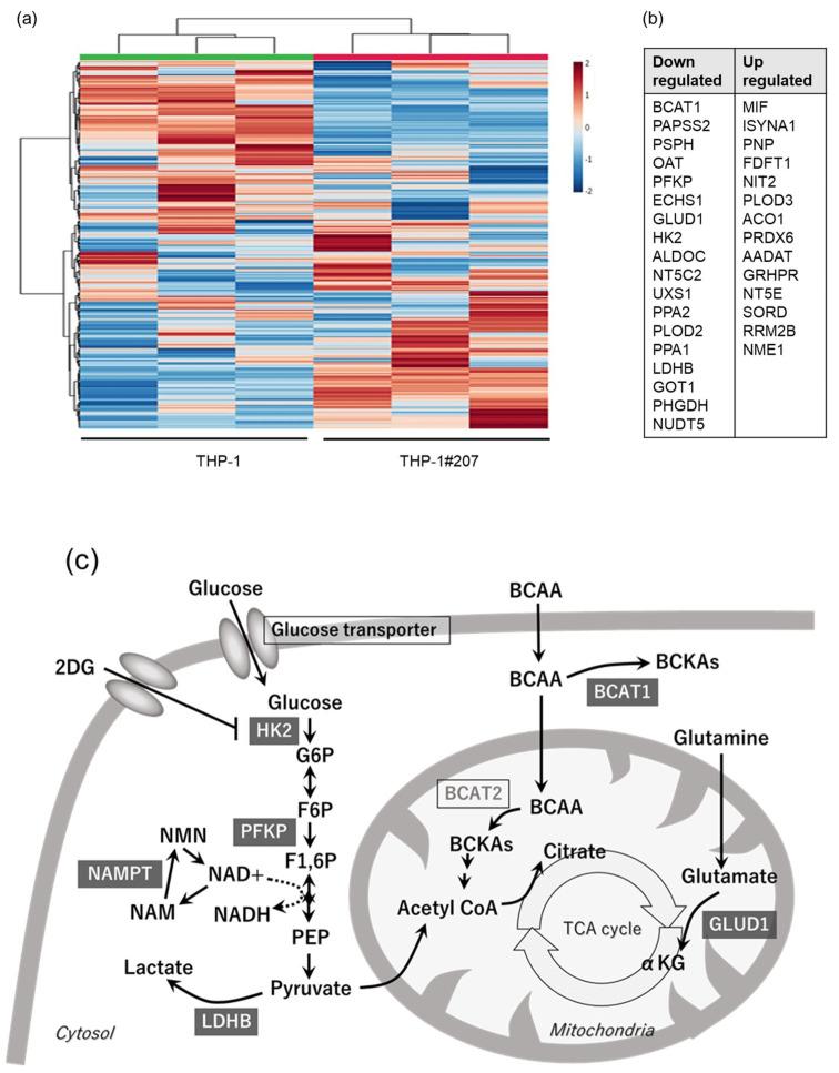 https://cdn.ncbi.nlm.nih.gov/pmc/blobs/3390/12296023/d66220d2a17a/ijms-26-06737-g006.jpg