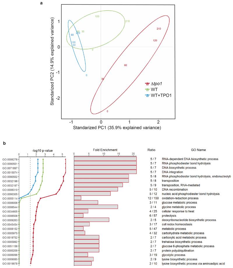 https://cdn.ncbi.nlm.nih.gov/pmc/blobs/3390/6774798/fbd66badcaba/EMS83570-f004.jpg