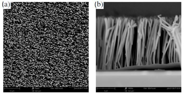 https://cdn.ncbi.nlm.nih.gov/pmc/blobs/3391/7792604/580f5a65b5dc/sensors-21-00003-g002.jpg