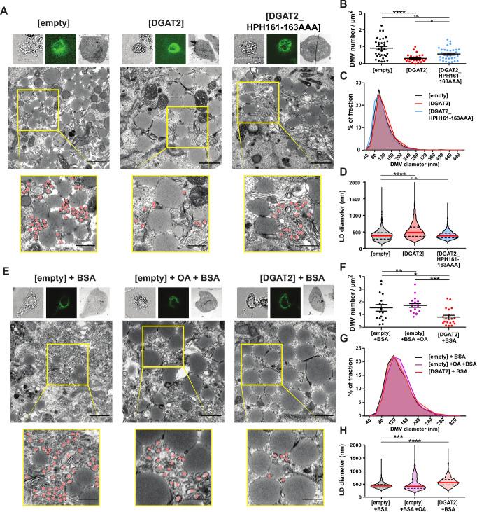 https://cdn.ncbi.nlm.nih.gov/pmc/blobs/3392/11410266/0611396cdaa2/ppat.1012509.g003.jpg