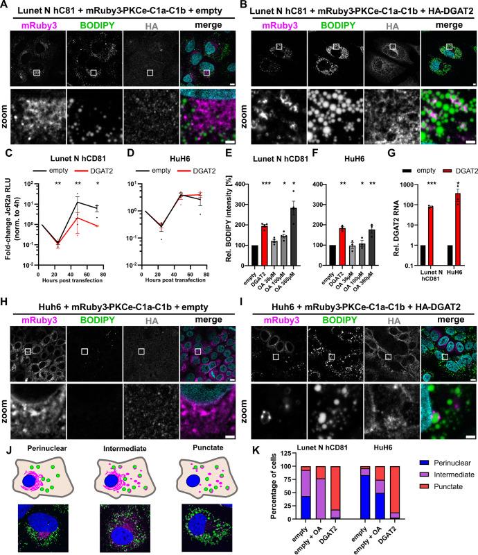 https://cdn.ncbi.nlm.nih.gov/pmc/blobs/3392/11410266/7410b932105b/ppat.1012509.g007.jpg