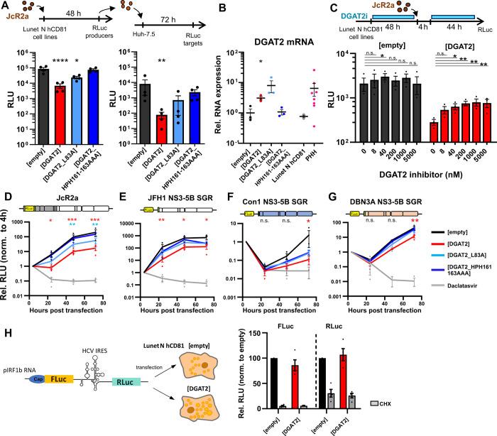 https://cdn.ncbi.nlm.nih.gov/pmc/blobs/3392/11410266/7a6b7b802417/ppat.1012509.g001.jpg