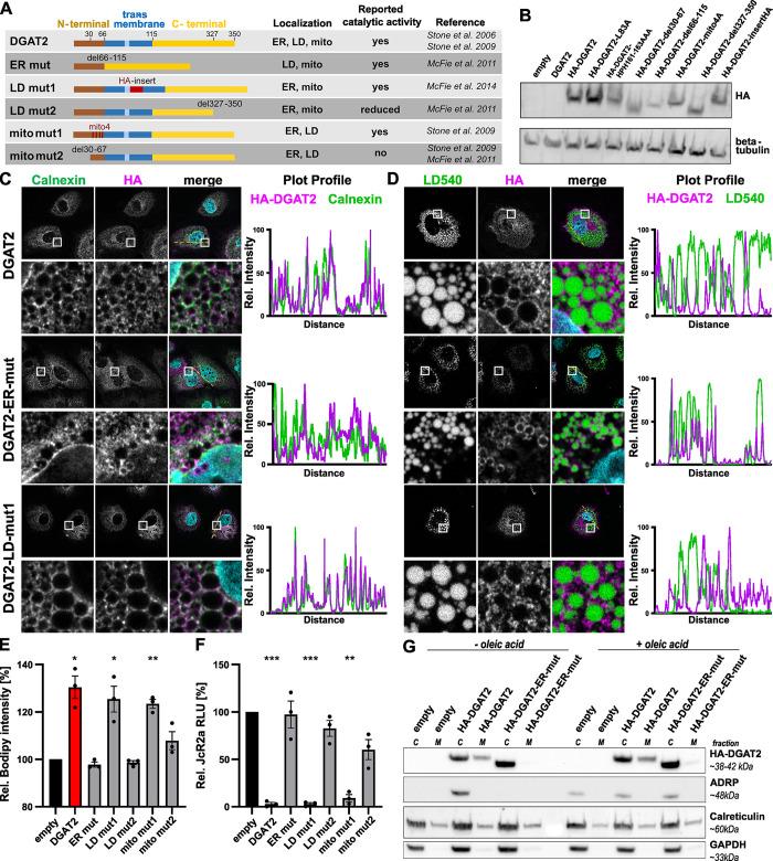 https://cdn.ncbi.nlm.nih.gov/pmc/blobs/3392/11410266/b659c95b504c/ppat.1012509.g006.jpg
