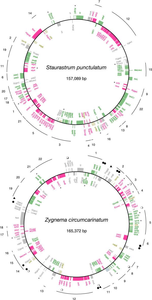 https://cdn.ncbi.nlm.nih.gov/pmc/blobs/3392/1277820/46b225e649ad/1741-7007-3-22-1.jpg