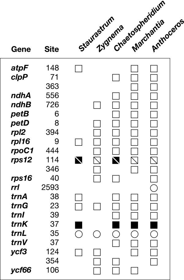 https://cdn.ncbi.nlm.nih.gov/pmc/blobs/3392/1277820/a602c2212775/1741-7007-3-22-4.jpg