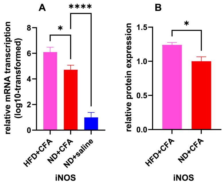 https://cdn.ncbi.nlm.nih.gov/pmc/blobs/3394/12156260/3029f987bfba/ijms-26-05422-g004.jpg