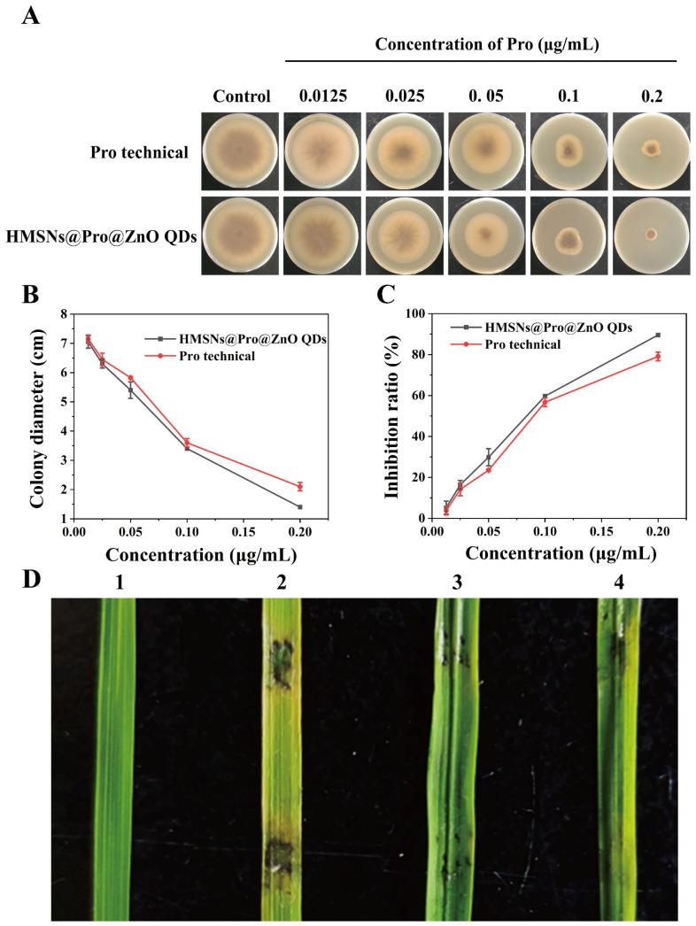 https://cdn.ncbi.nlm.nih.gov/pmc/blobs/3396/10972096/e4c102229a2a/materials-17-01344-g004.jpg